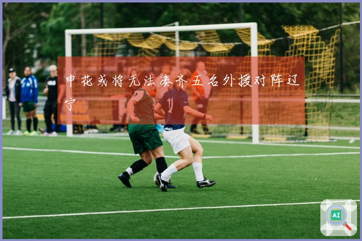 申花或将无法凑齐五名外援对阵辽宁