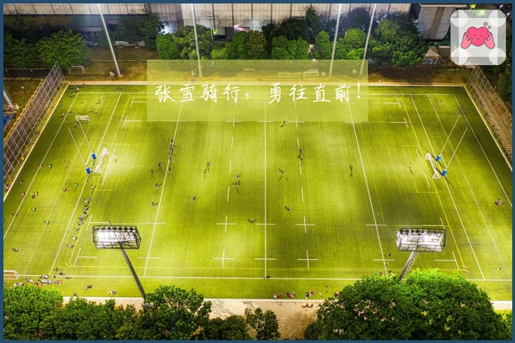 张雪骑行，勇往直前！