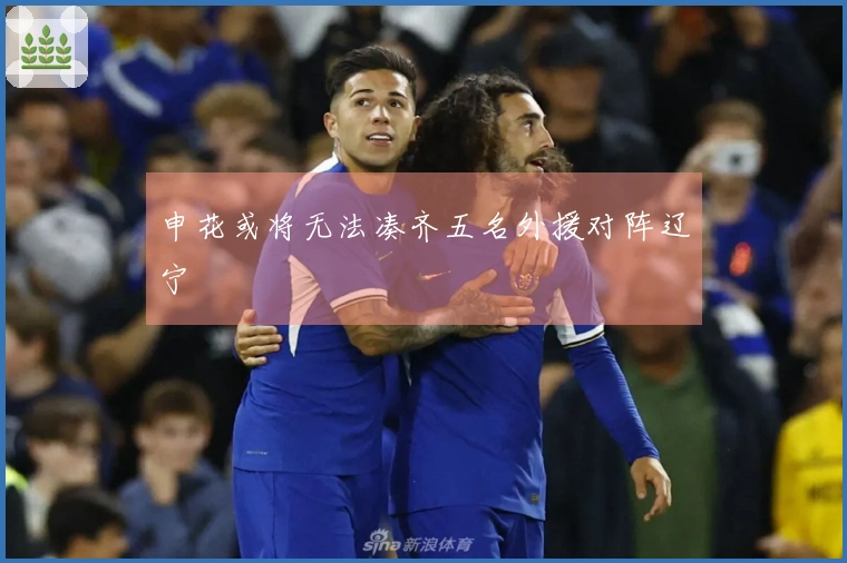 申花或将无法凑齐五名外援对阵辽宁